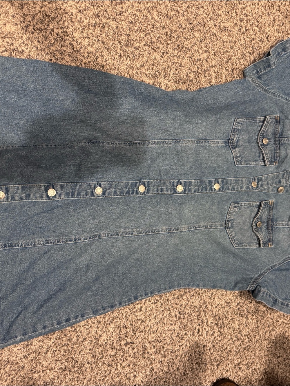 Women’s Blue Denim Button-Front Jeans Dress